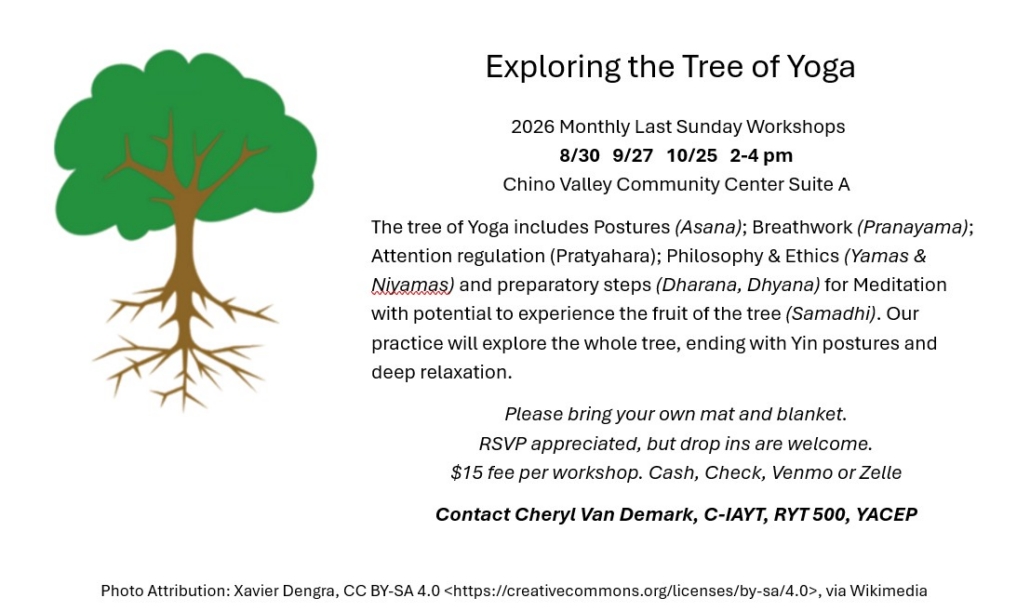 Sunday Yoga Workshops_Van Demark